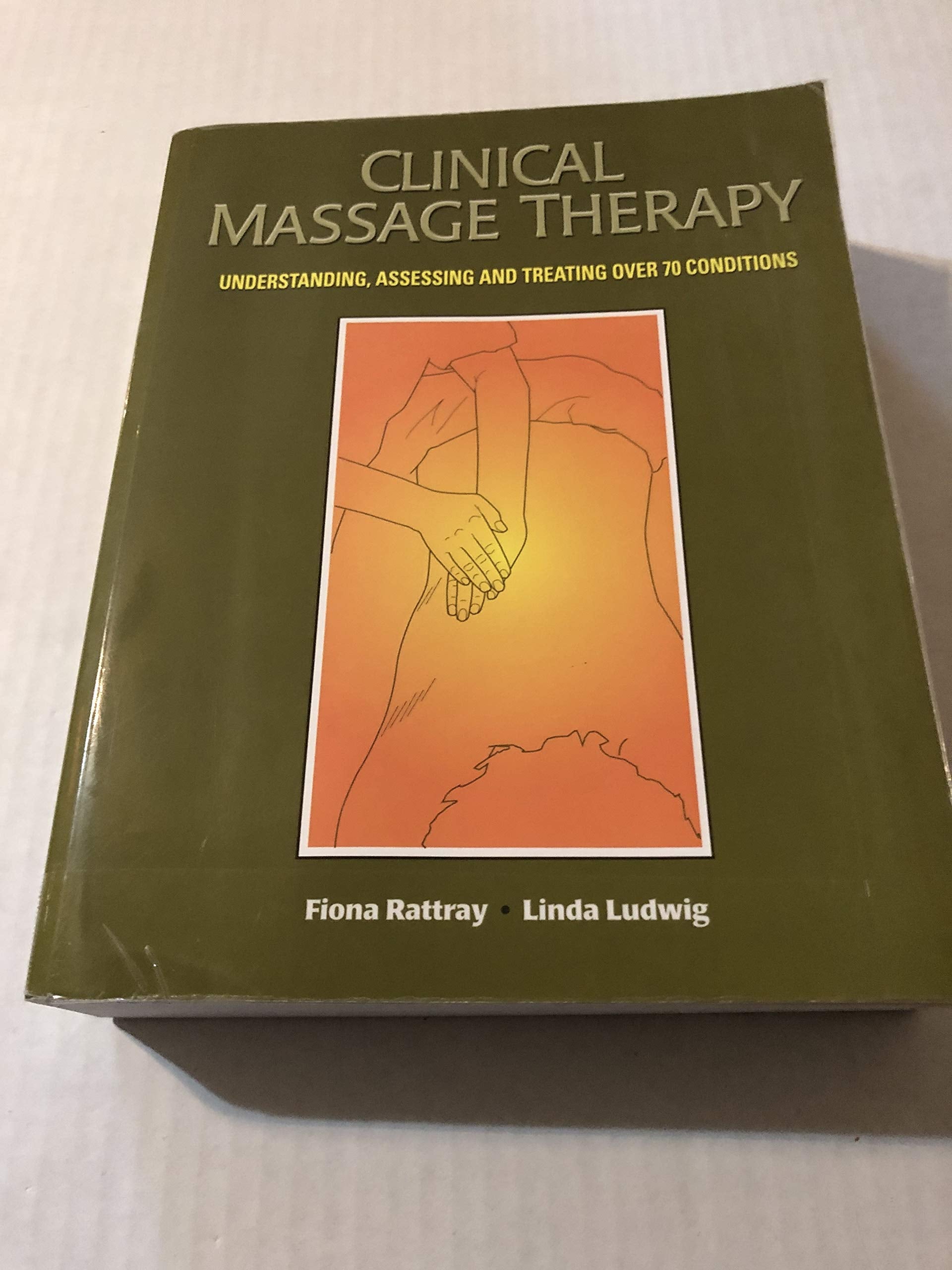 Clinical Massage Therapy: Understanding, Assessing And Treating Over 70 Conditions,Used