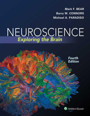 Neuroscience: Exploring The Brain, Fourth Edition By Mark F. Bear, Barry W. Connors, Michael A. Paradiso (2015) Hardcover