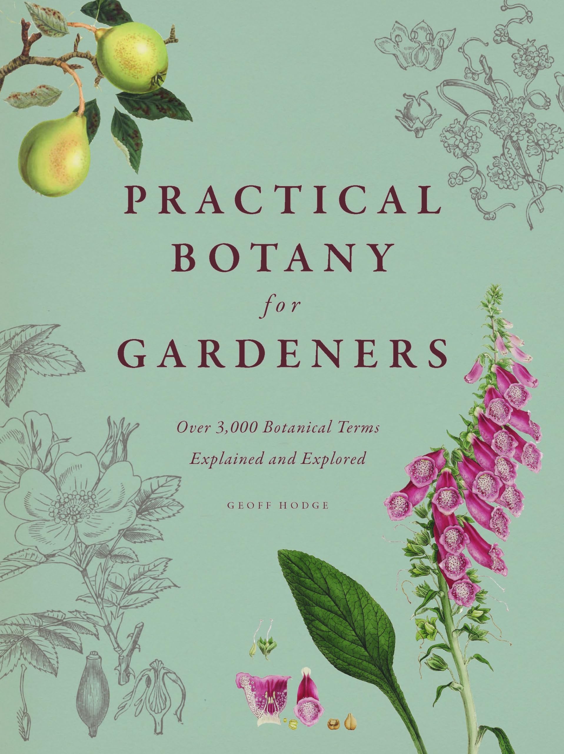 Practical Botany for Gardeners: Over 3,000 Botanical Terms Explained and Explored,New