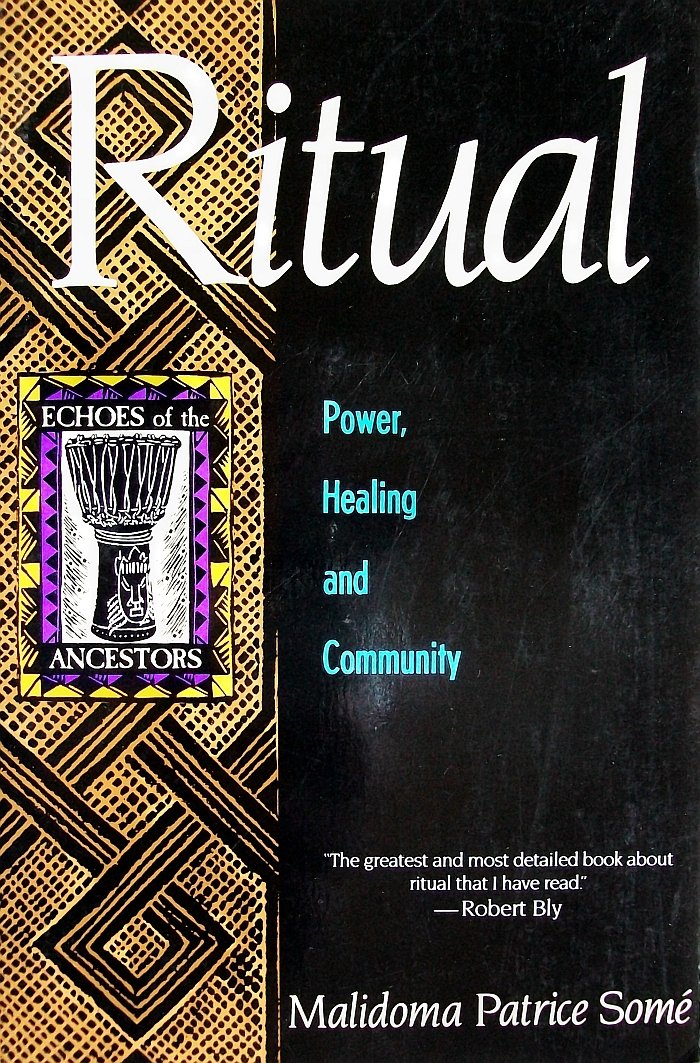 Ritual: Power, Healing And Community : The African Teachings Of The Dagara (Echoes Of The Ancestors),Used