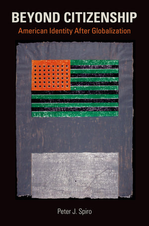 Beyond Citizenship: American Identity After Globalization,Used