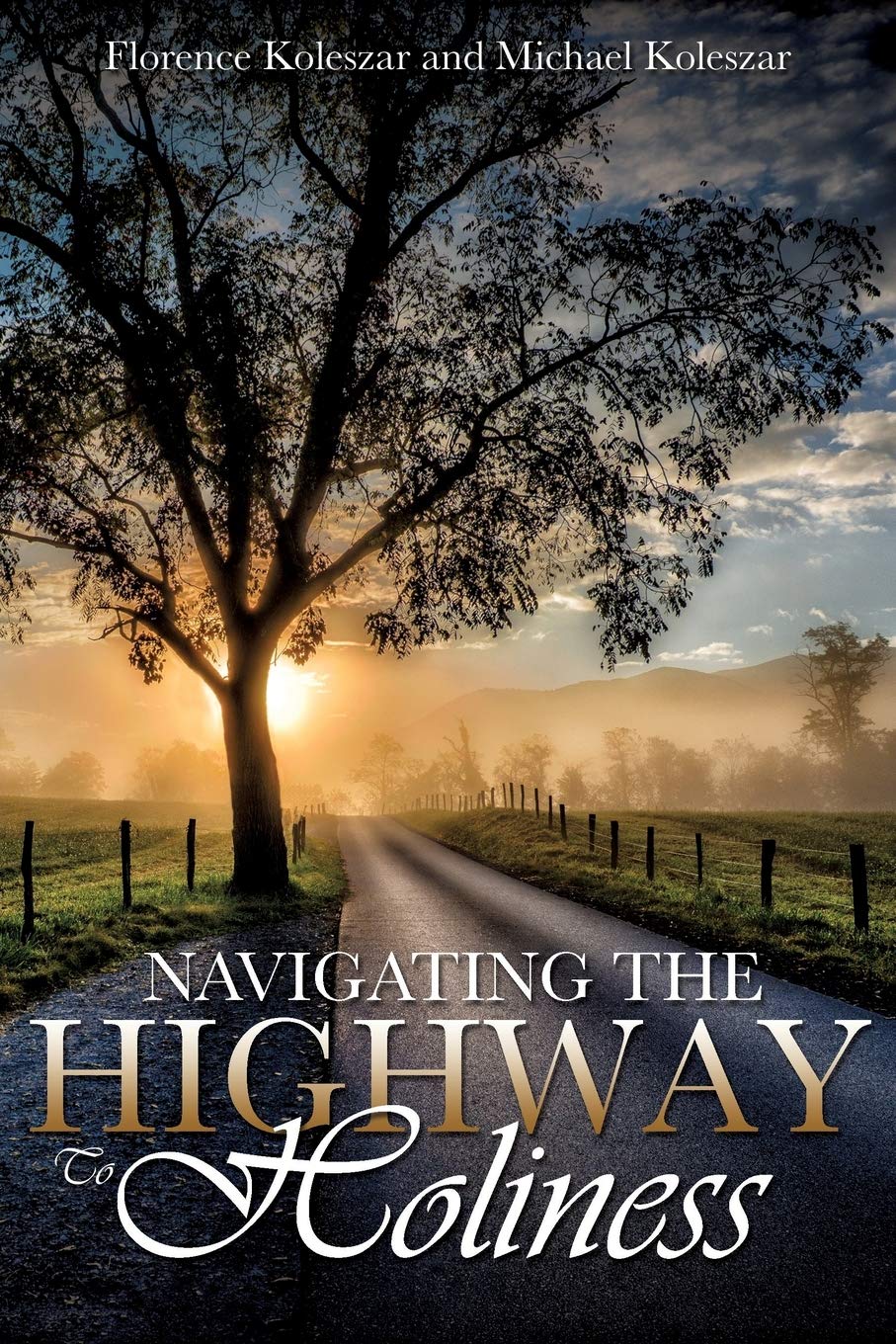 Navigating The Highway To Holiness,Used