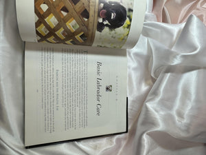 The Labrador Retriever: The Dog That Does It All,Used