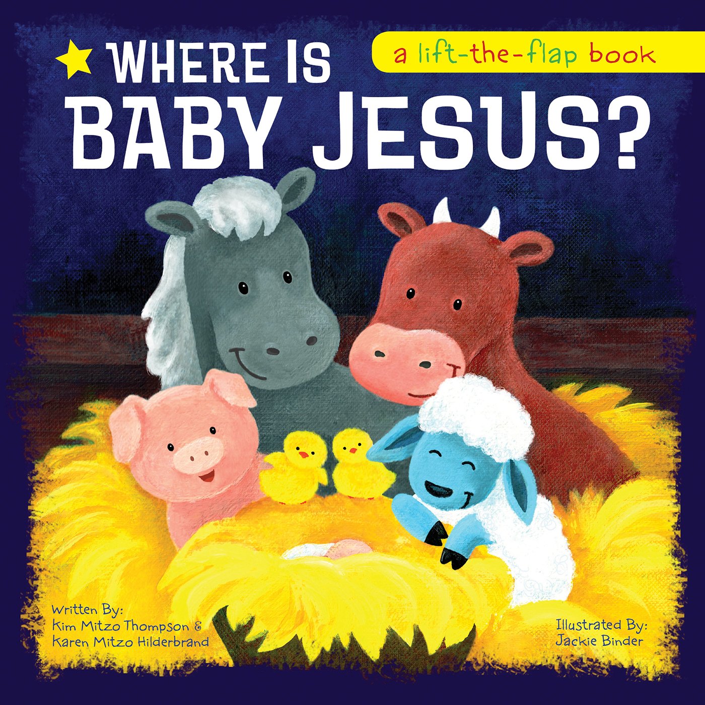 Where Is Baby Jesus? A LifttheFlap Book,Used