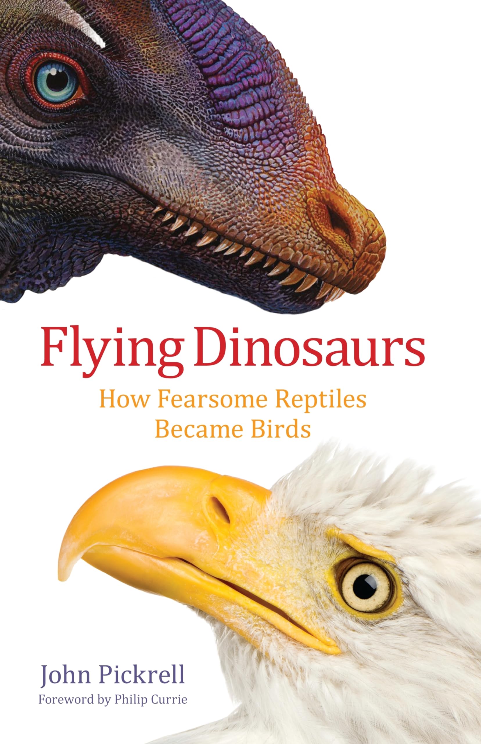 Flying Dinosaurs: How Fearsome Reptiles Became Birds,Used