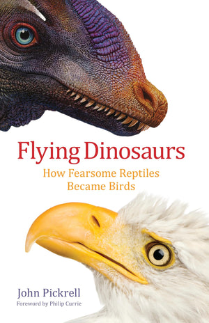 Flying Dinosaurs: How Fearsome Reptiles Became Birds,Used
