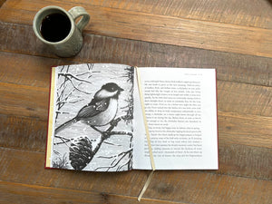 Ive Forgotten Everything I Learned In School!-used