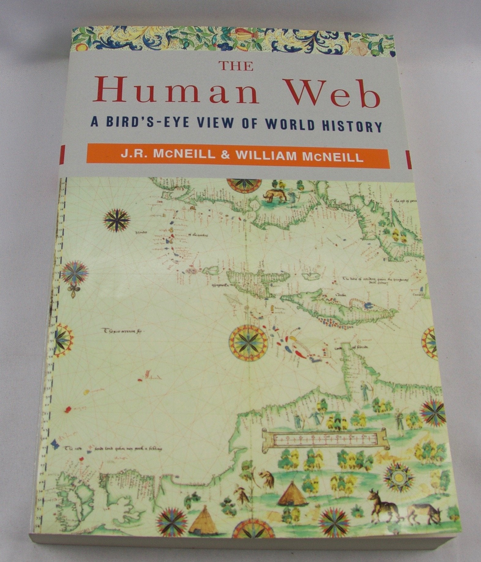 The Human Web: A Bird'sEye View of World History,Used