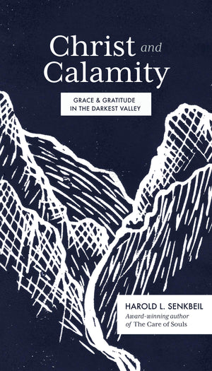 Christ and Calamity: Grace and Gratitude in the Darkest Valley,Used