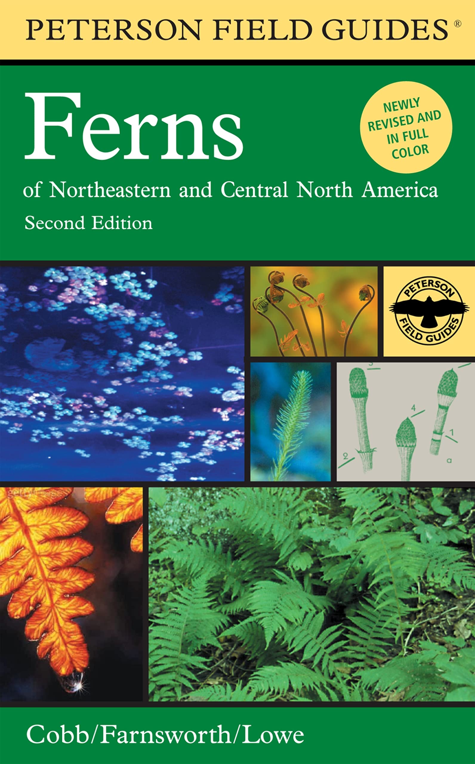 Peterson Field Guide to Ferns: Northeastern and Central North America, 2nd Edition,New