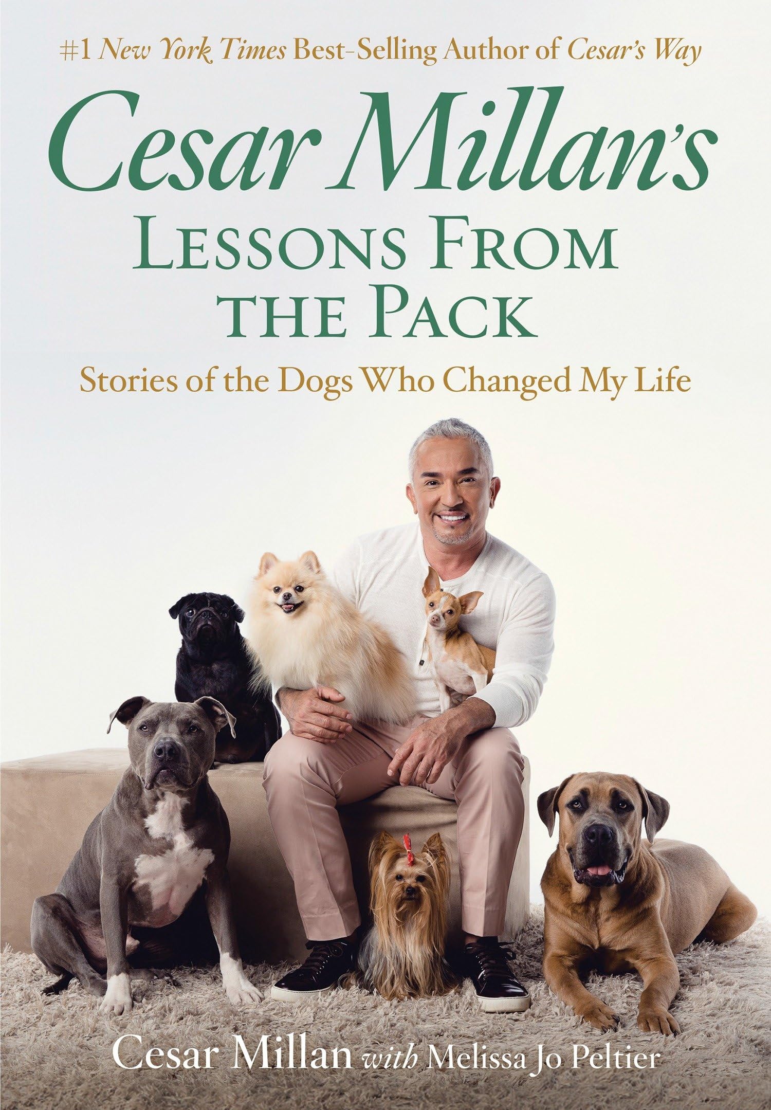 Cesar Millan's Lessons From the Pack: Stories of the Dogs Who Changed My Life,Used