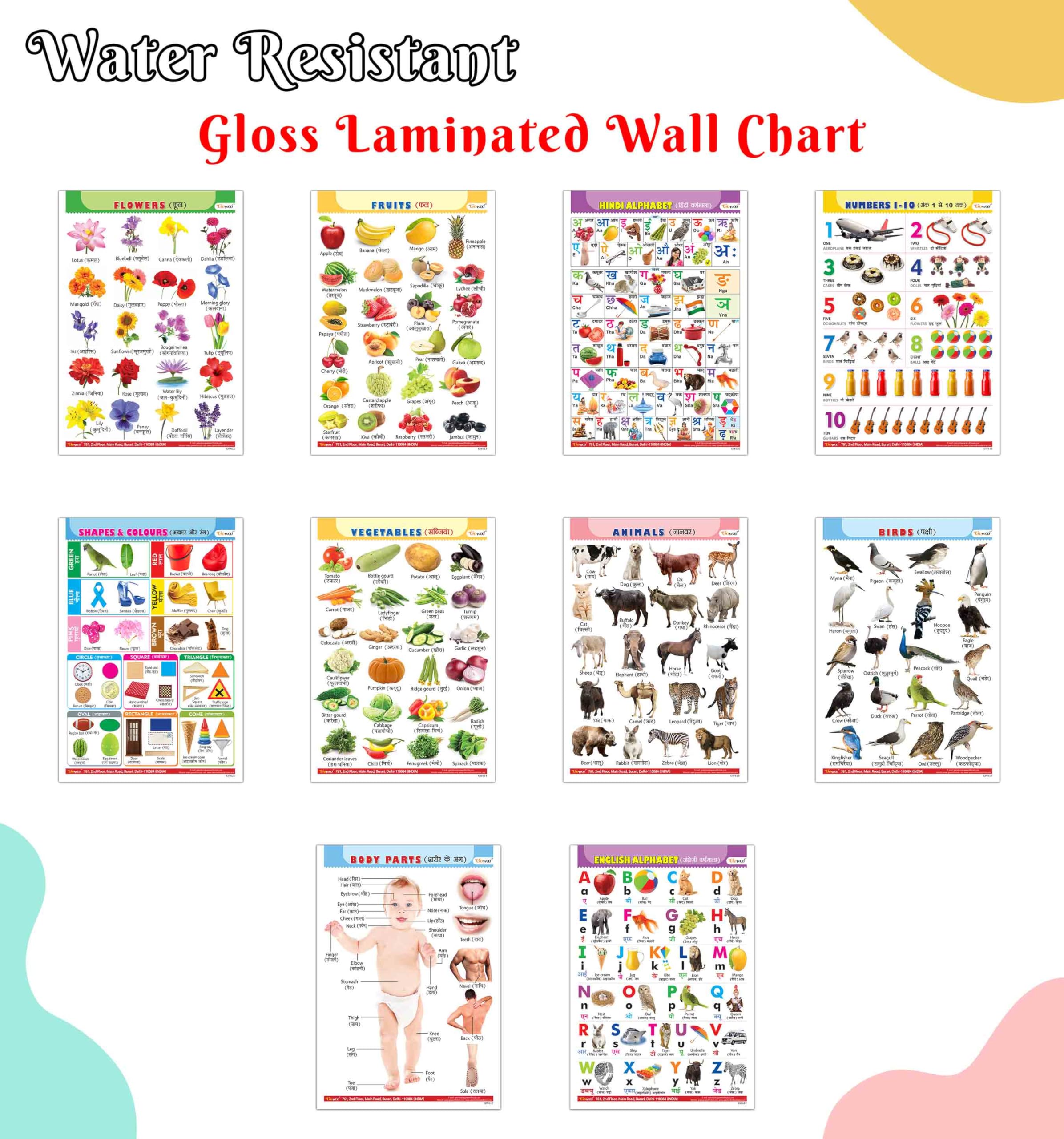 Fun Educational Chart Collection For Kids : Alphabet, Fruits, Vegetables, Animals Birds, And More English-Hindi Gloss Laminated (Pack Of 10), Toddler Learning Set, Preschool Educational Charts