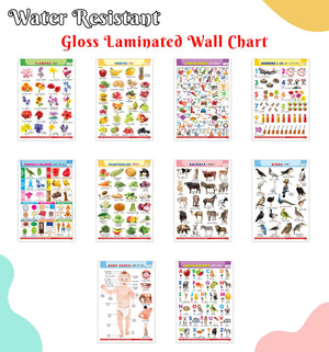 Fun Educational Chart Collection For Kids : Alphabet, Fruits, Vegetables, Animals Birds, And More English-Hindi Gloss Laminated (Pack Of 10), Toddler Learning Set, Preschool Educational Charts