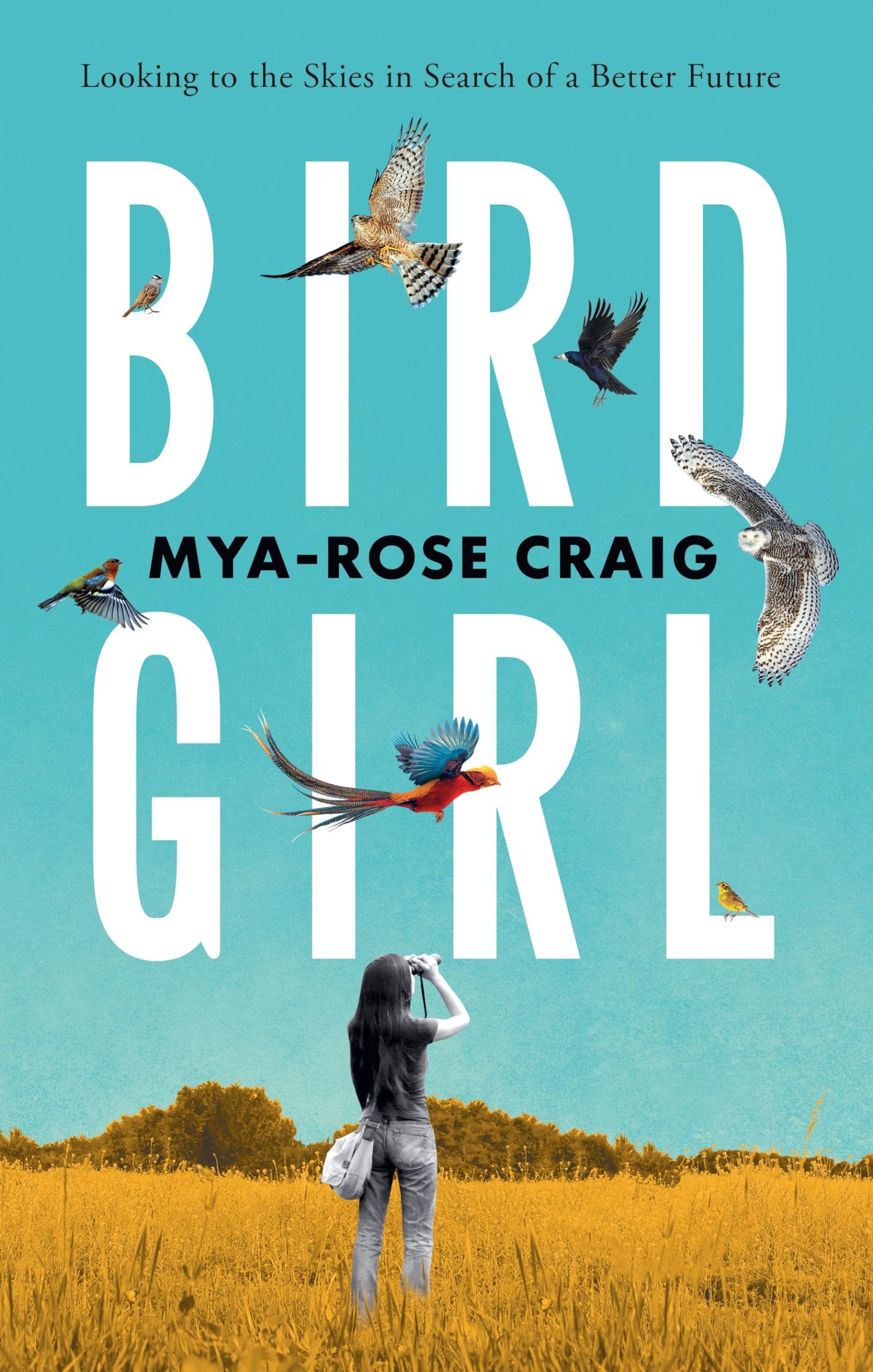 Birdgirl: Looking To The Skies In Search Of A Better Future,Used