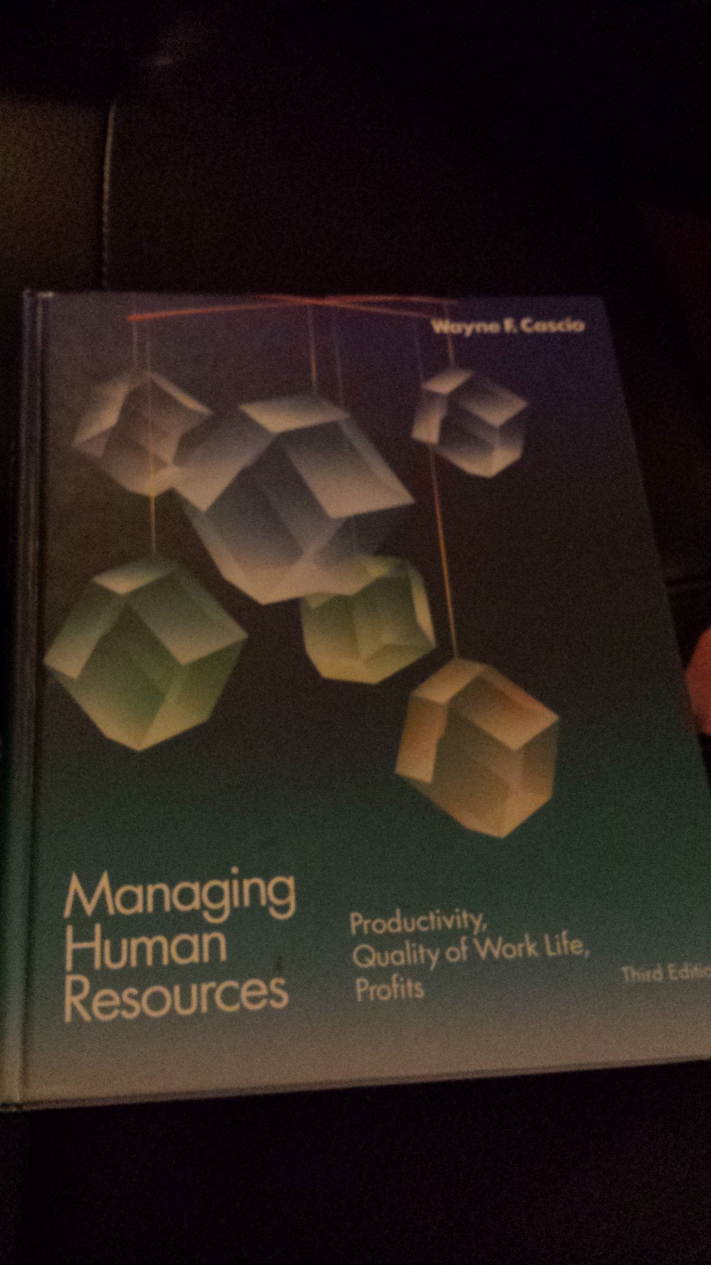 Managing Human Resources: Productivity, Quality of Work Life, Profits (McGrawHill Series in Management),Used