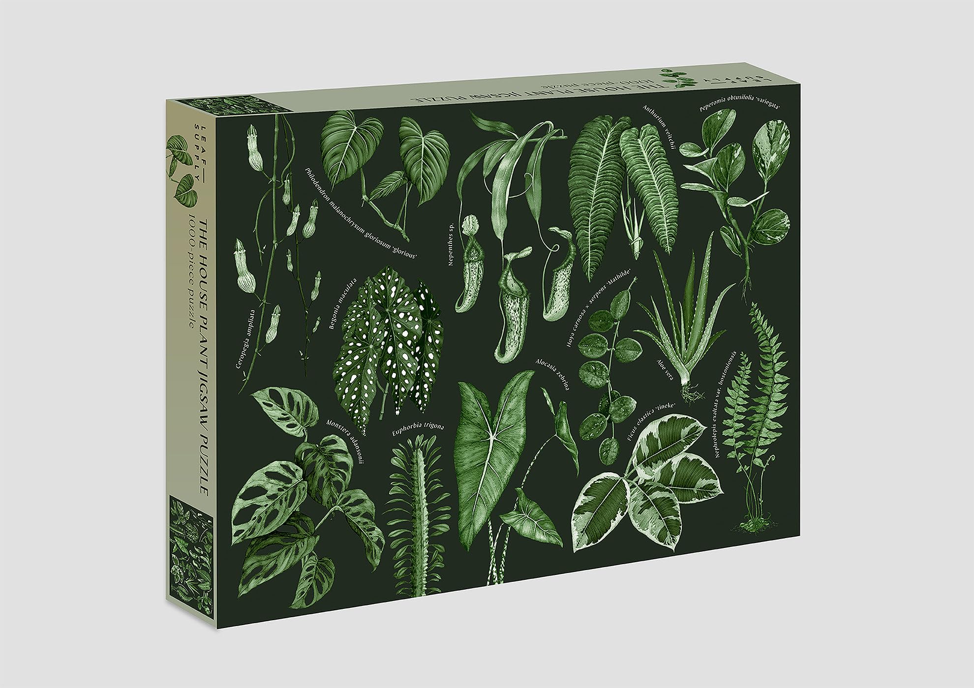 Leaf Supply: The House Plant Jigsaw Puzzle: 1000Piece Jigsaw Puzzle,New