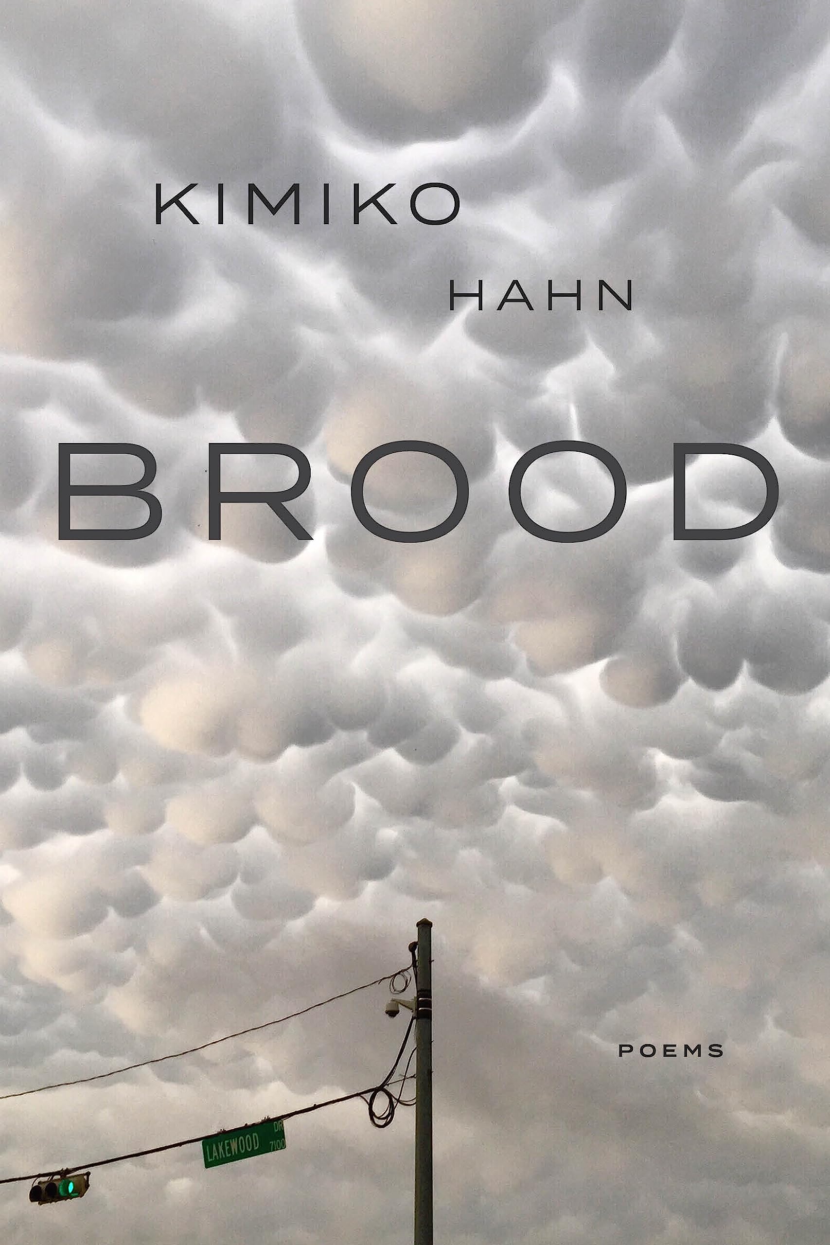 Brood (Quarternote Chapbook Series),Used