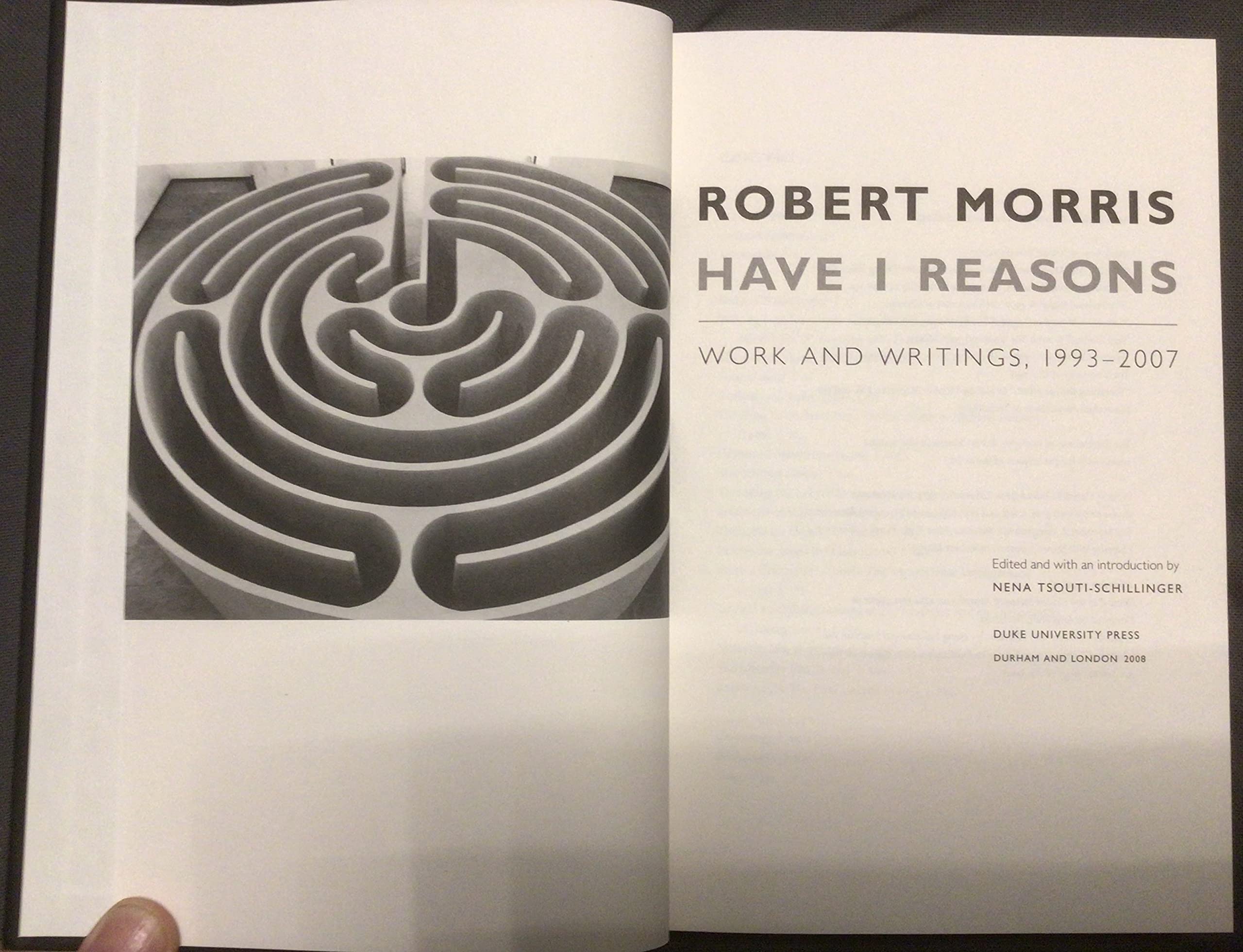 Have I Reasons: Work And Writings, 19932007,New