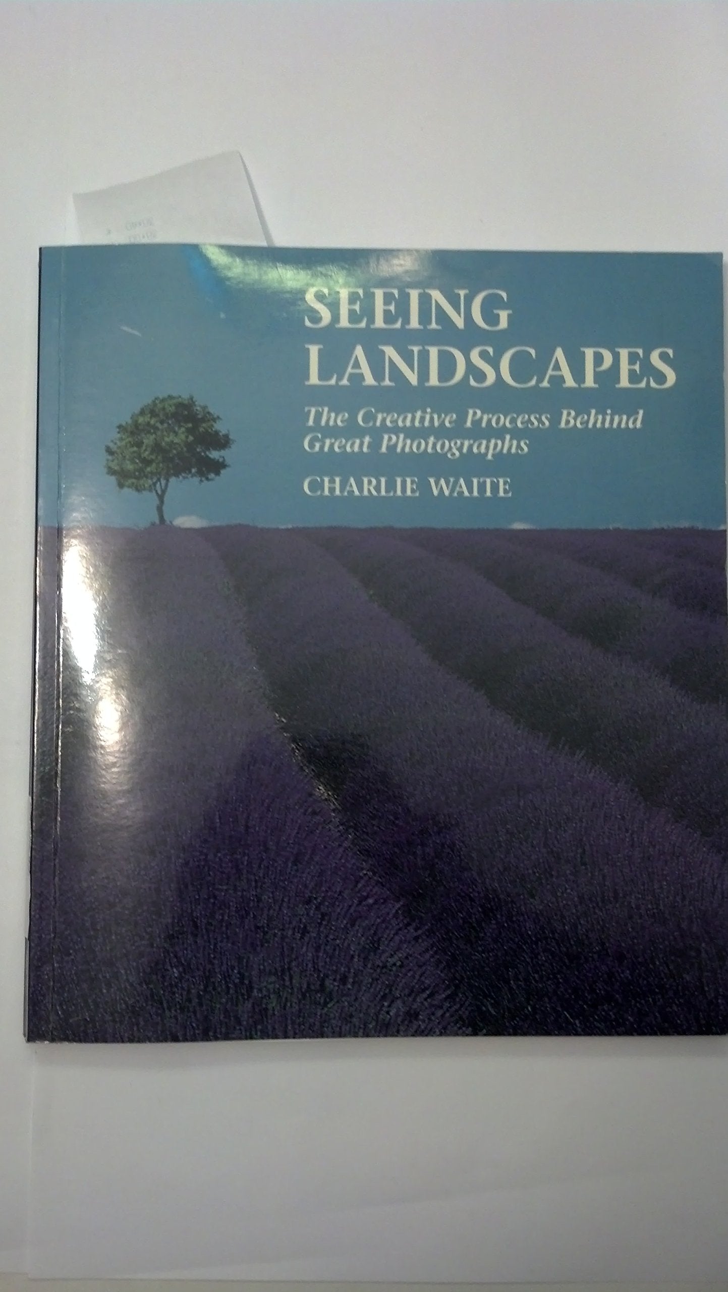 Seeing Landscapes: The Creative Process Behind Great Photographs,Used