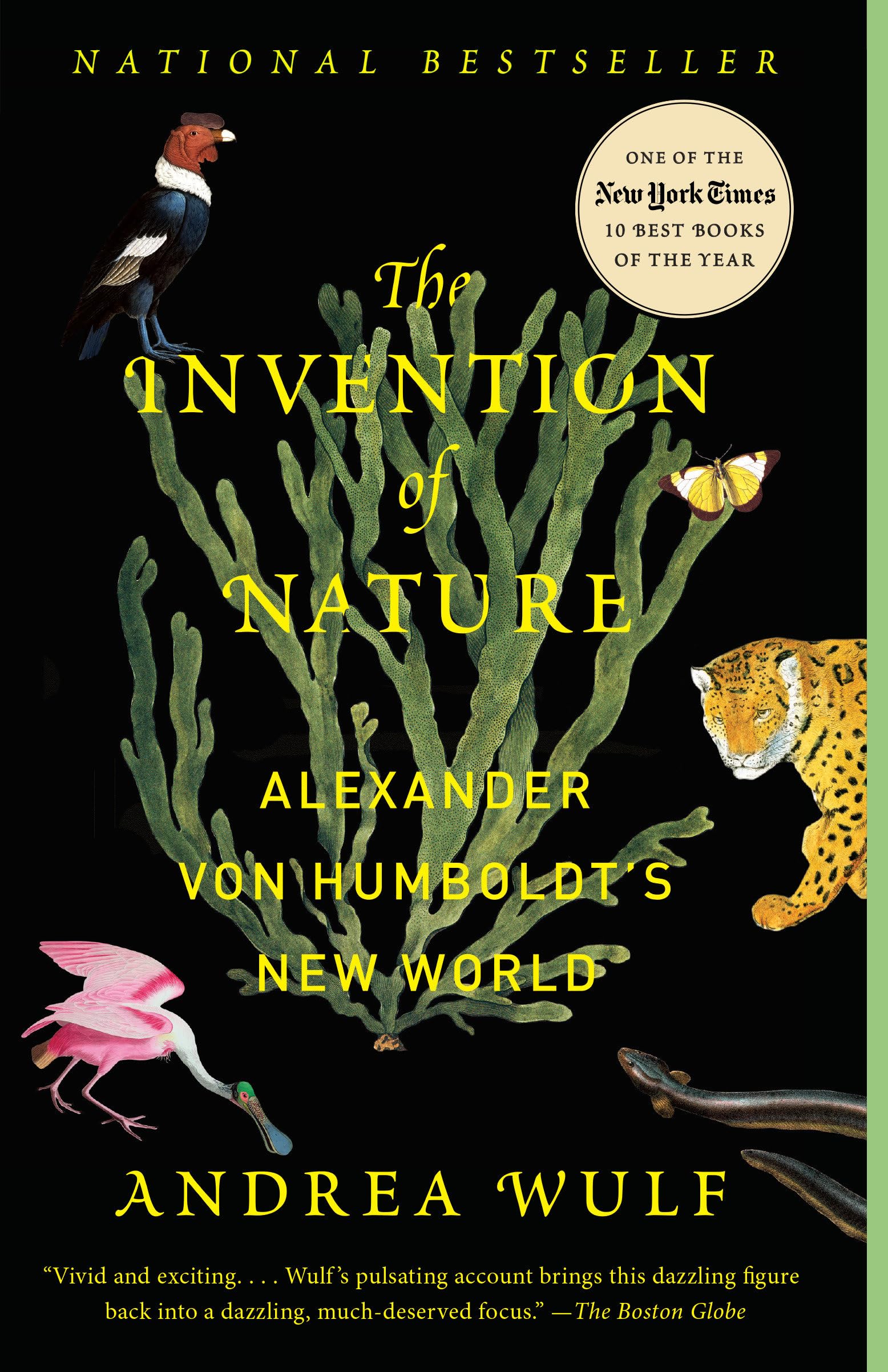 The Invention Of Nature: Alexander Von Humboldt'S New World,New