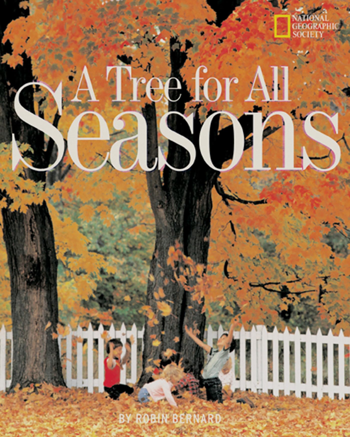 A Tree for All Seasons (Rise and Shine),New