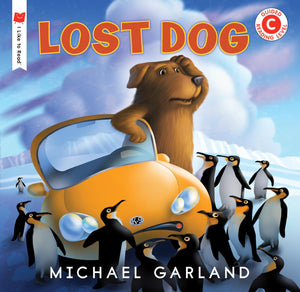 Lost Dog (I Like to Read),Used