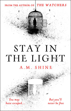 Stay in the Light: the chilling sequel to The Watchers, soon to be a major motion picture,New