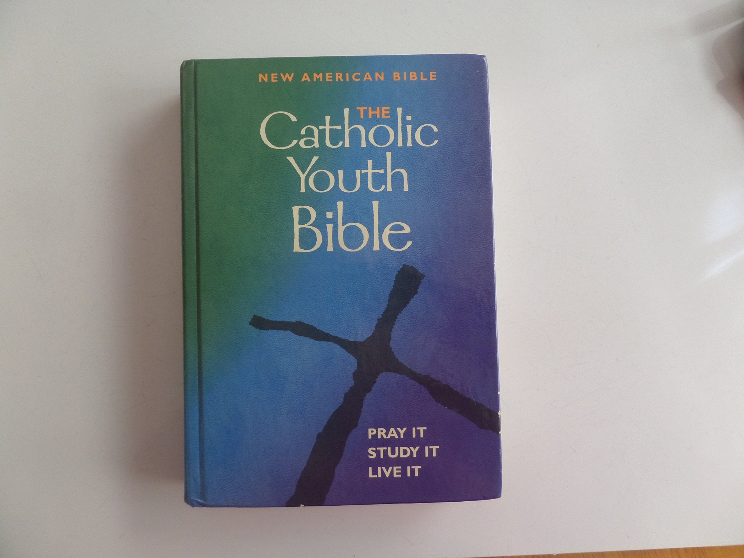 The Catholic Youth Bible, Revised: New American Bible,Used