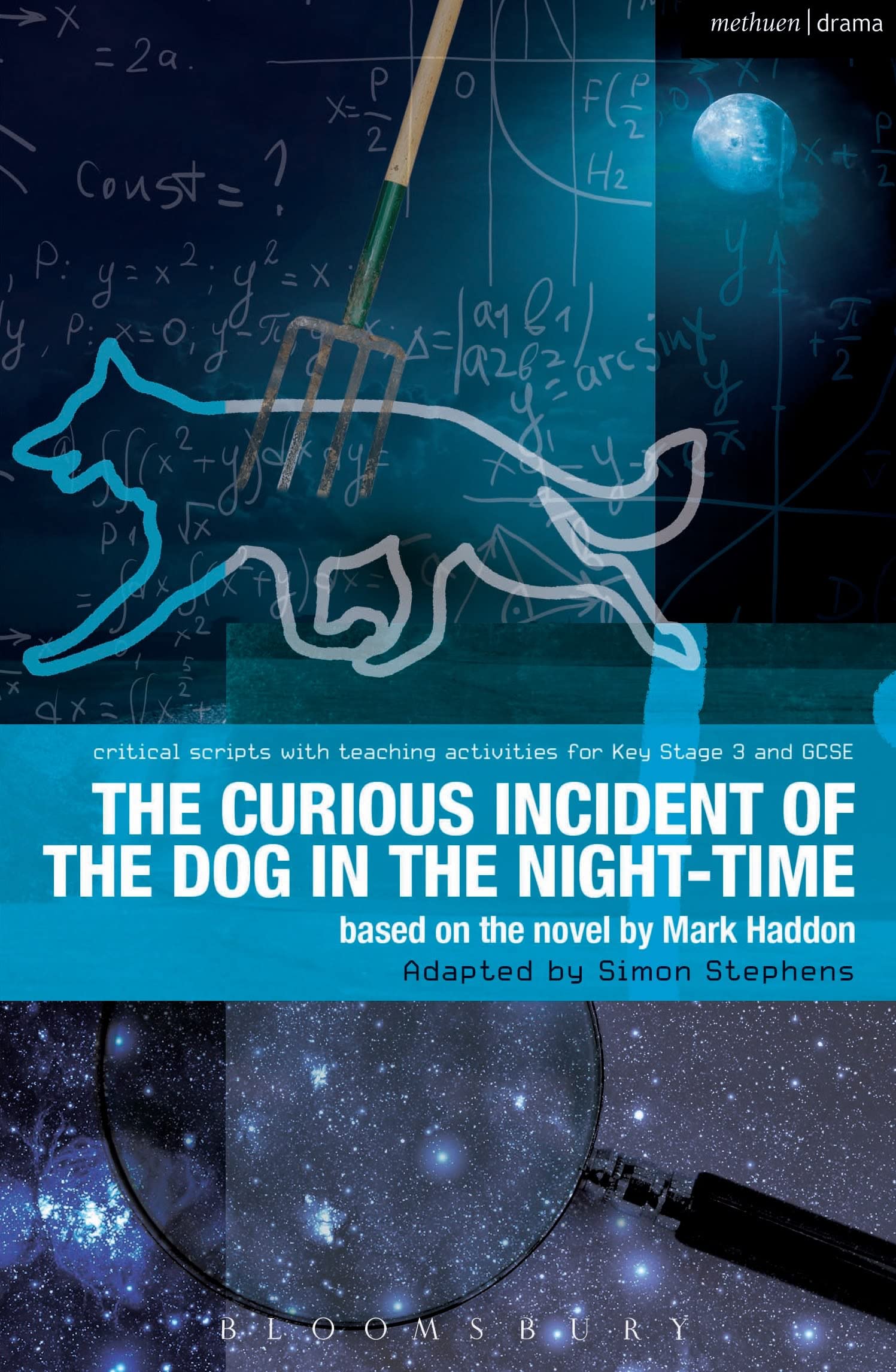 The Curious Incident Of The Dog In The Nighttime: The Play (Critical Scripts)