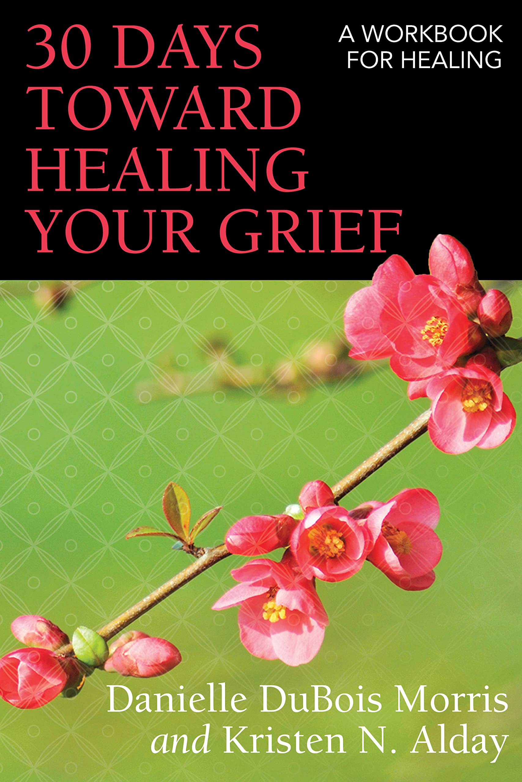 30 Days Toward Healing Your Grief: A Workbook For Healing,Used