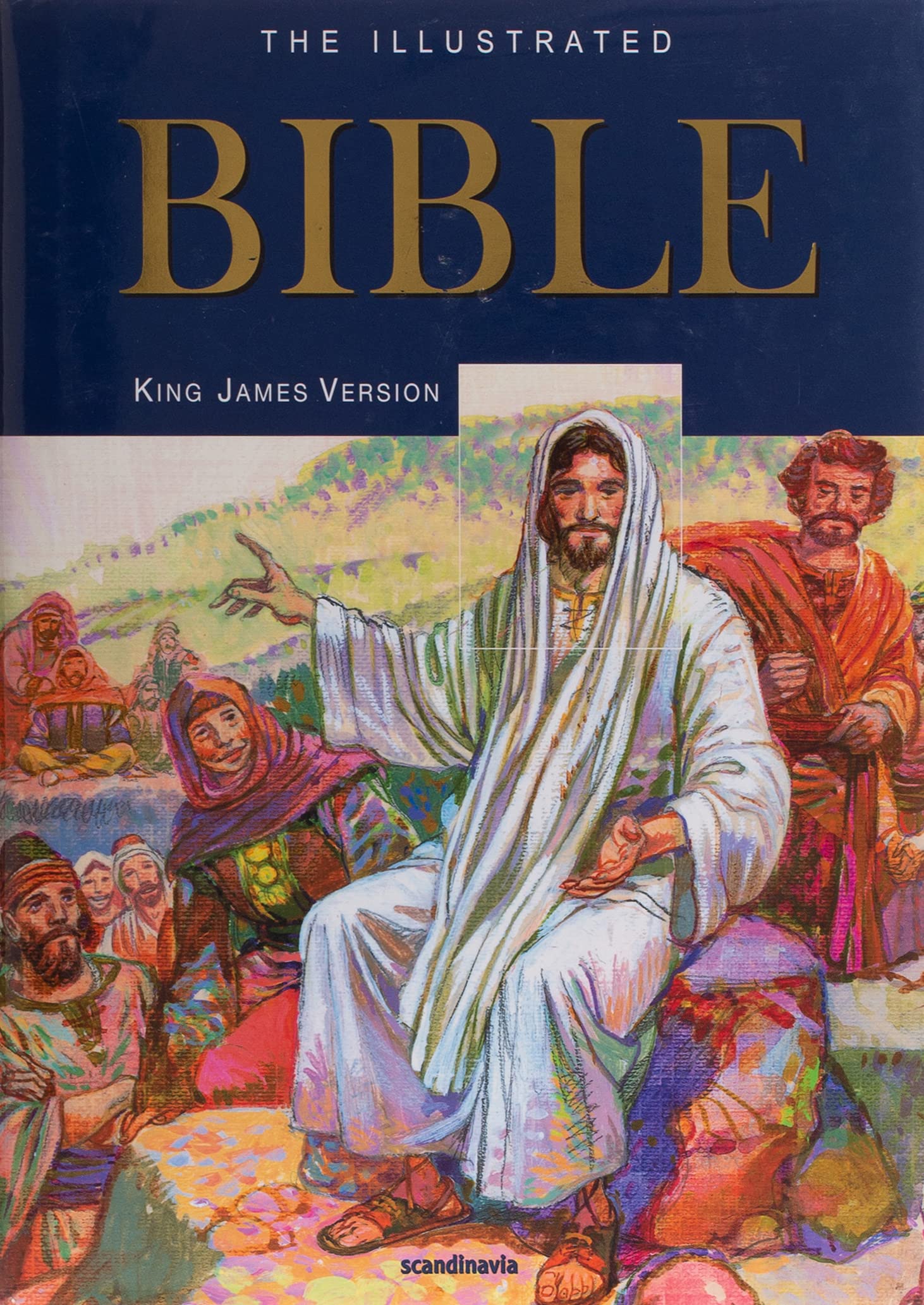 Illustrated BibleThe Holy Bible King James VersionKing James Bible1735 Pages16 Full Color MapsIllustrated Bible StoriesEnt,Used