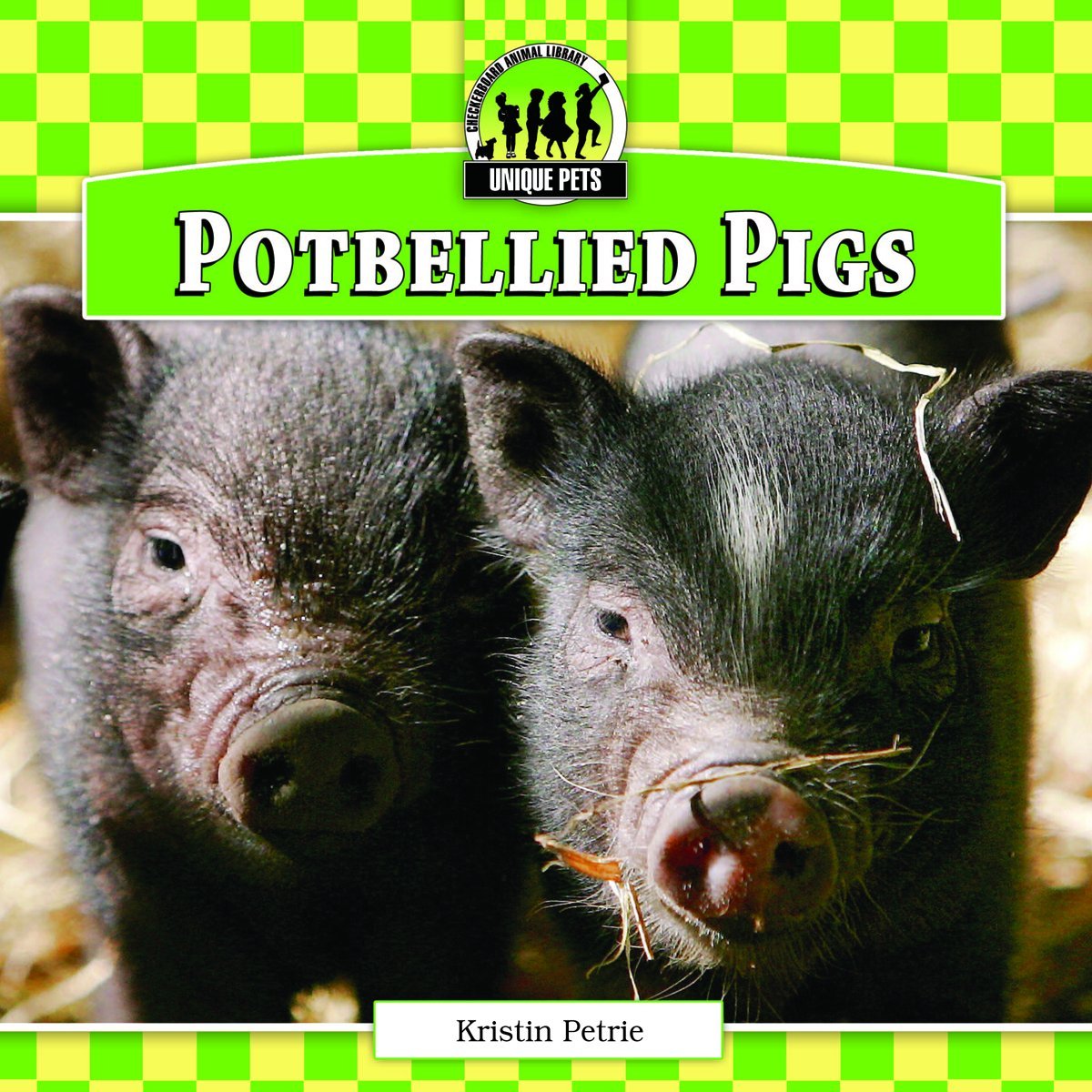 Potbellied Pigs (Unique Pets),Used
