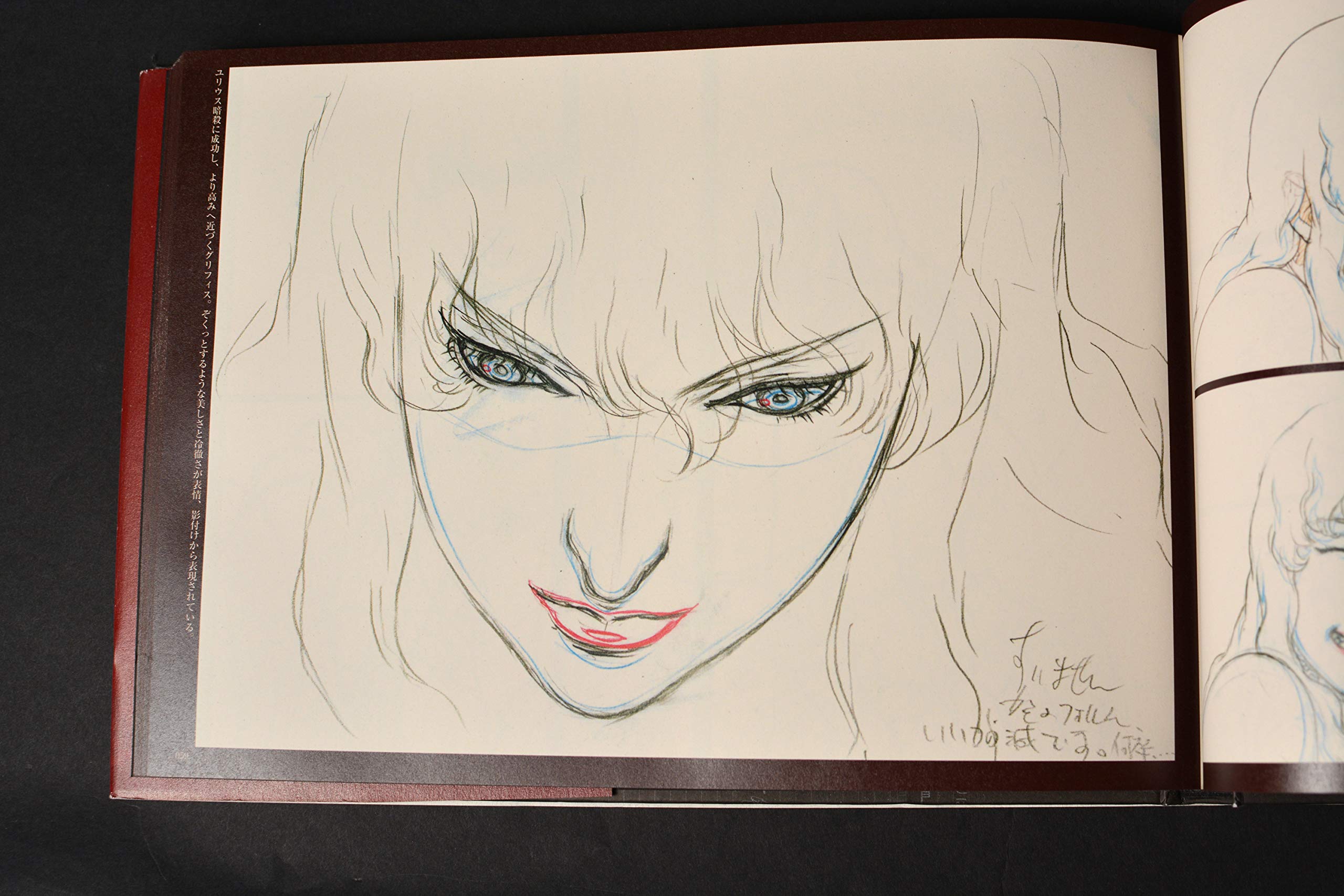 Anime MOvie BERSERK Illustration ART BOOK Character Part [Japanese Edition],Used