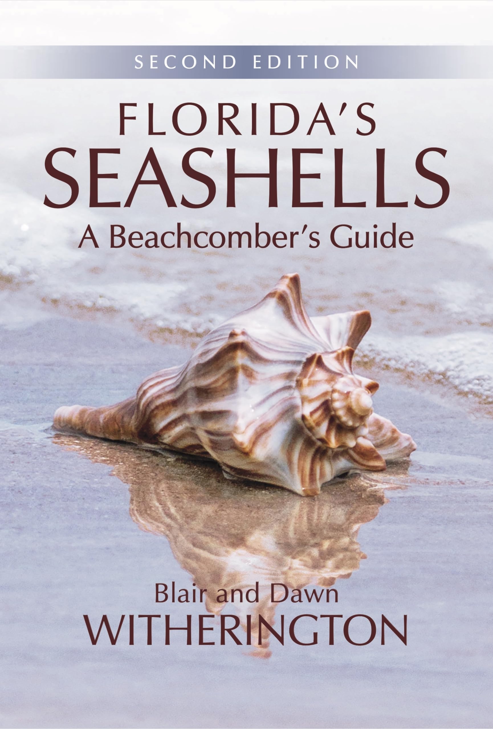 Florida's Seashells: A Beachcomber's Guide,Used