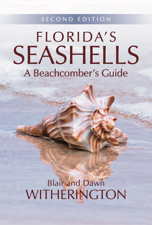 Florida's Seashells: A Beachcomber's Guide,Used