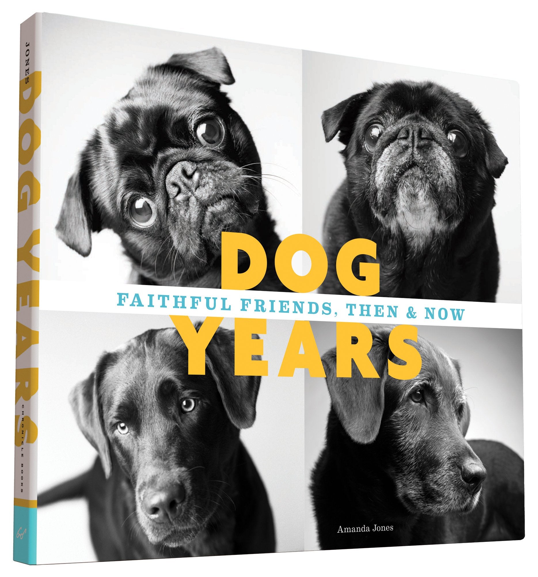 Dog Years: Faithful Friends, Then & Now,Used
