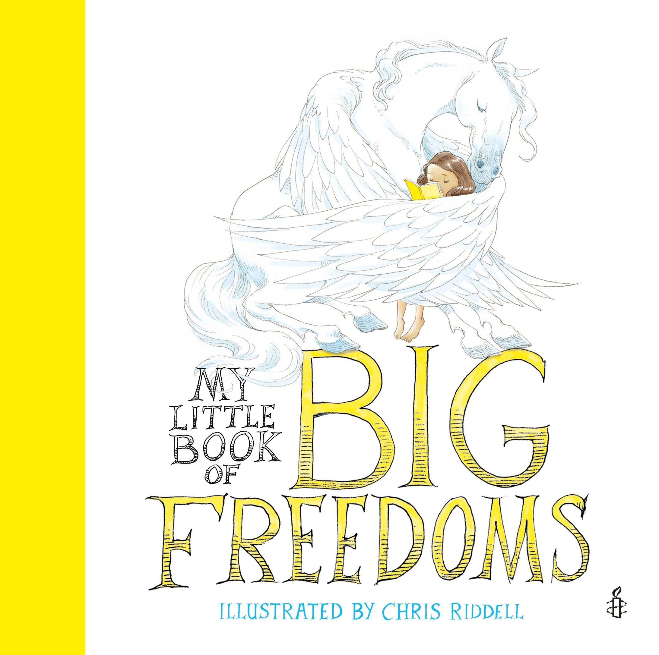 My Little Book of Big Freedoms,Used