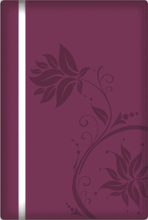 A Woman After God's Own Heart Bible,Used