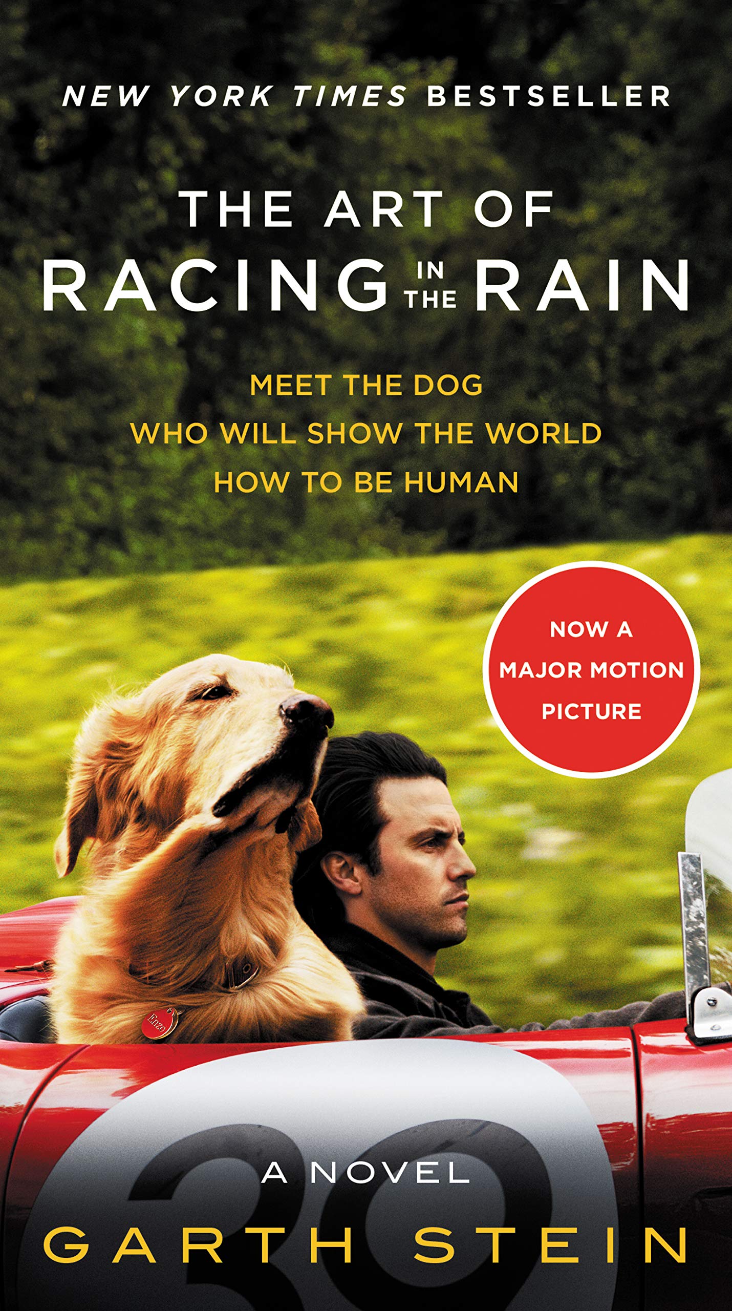 The Art of Racing in the Rain Movie Tiein Edition: A Novel,Used