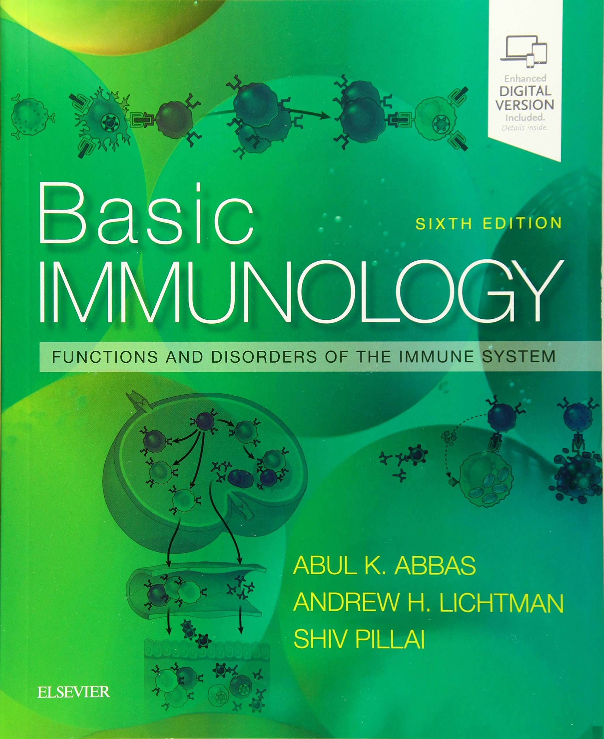 Basic Immunology: Functions And Disorders Of The Immune System