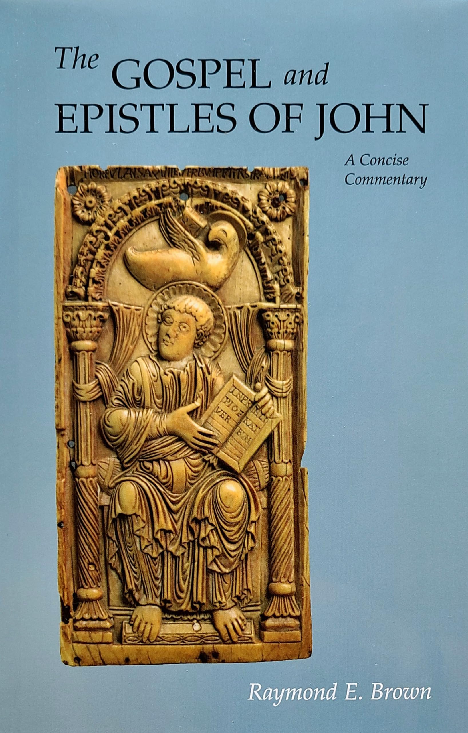 The Gospel and Epistles of John: A Concise Commentary,New