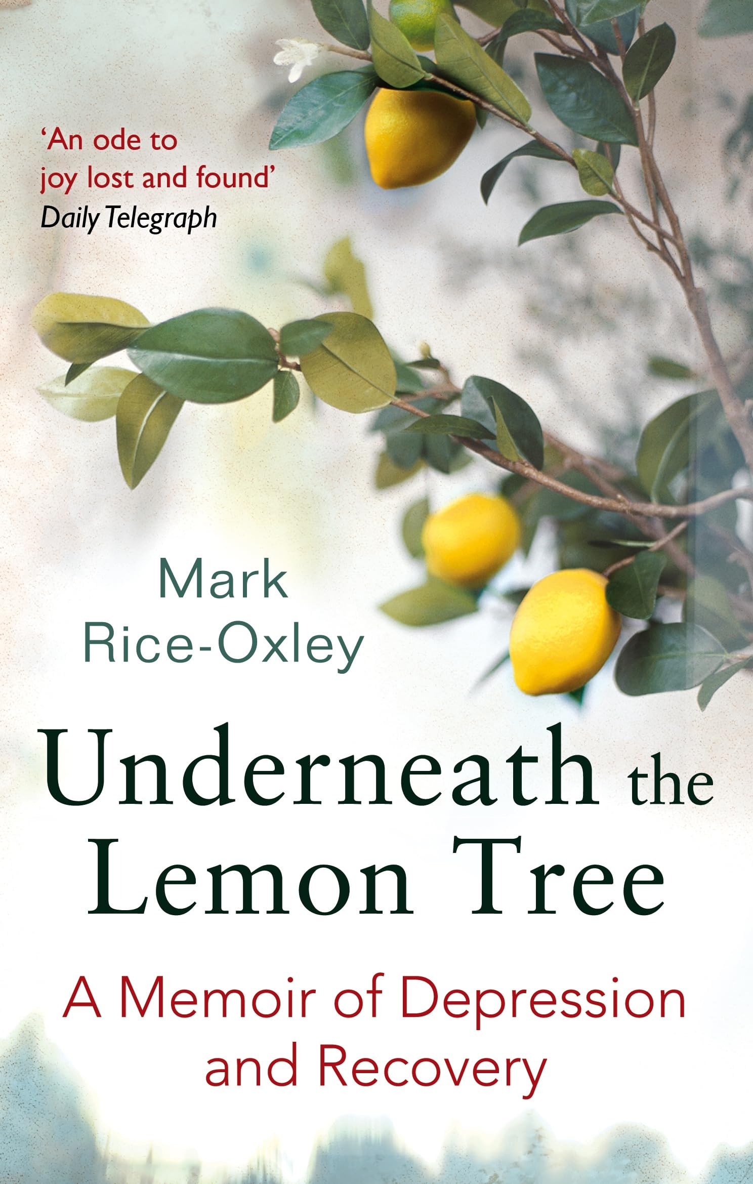 Underneath The Lemon Tree: A Memoir Of Depression And Recovery