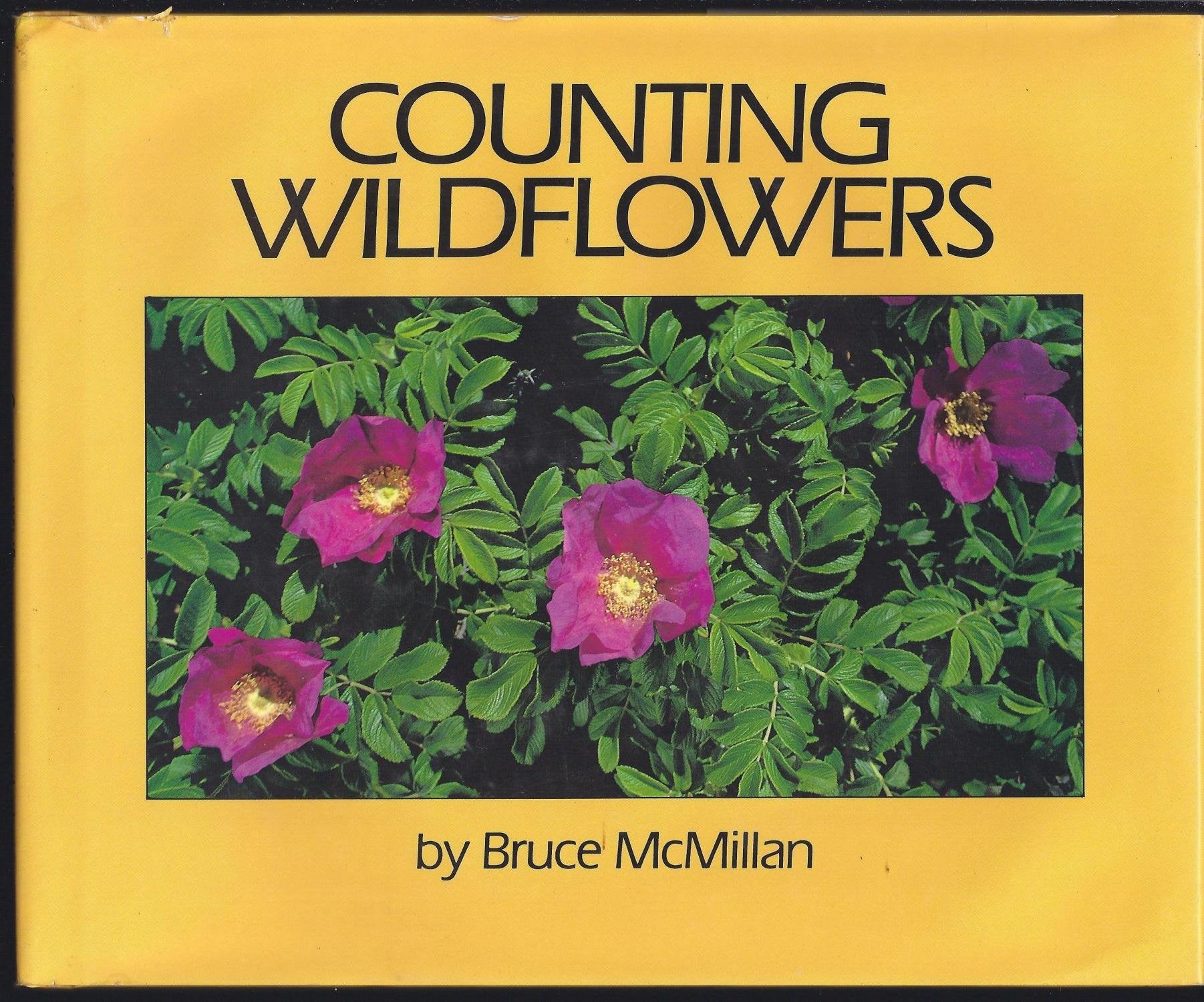 Counting Wildflowers,Used