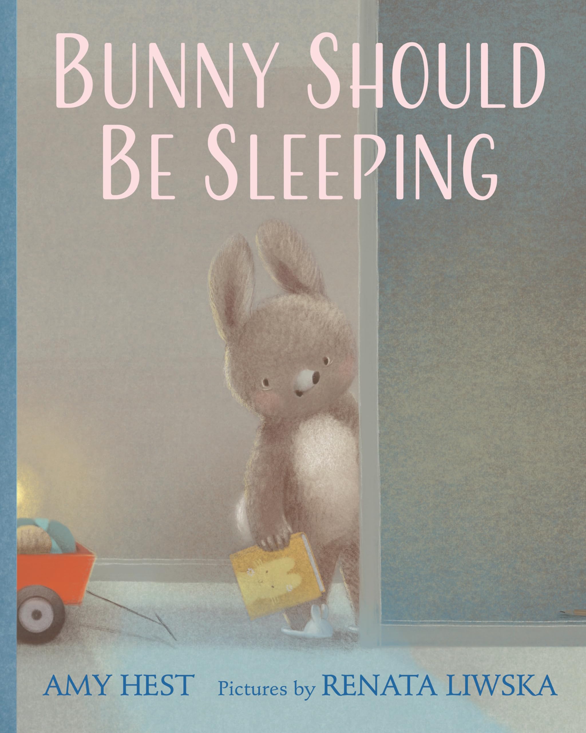 Bunny Should Be Sleeping,Used