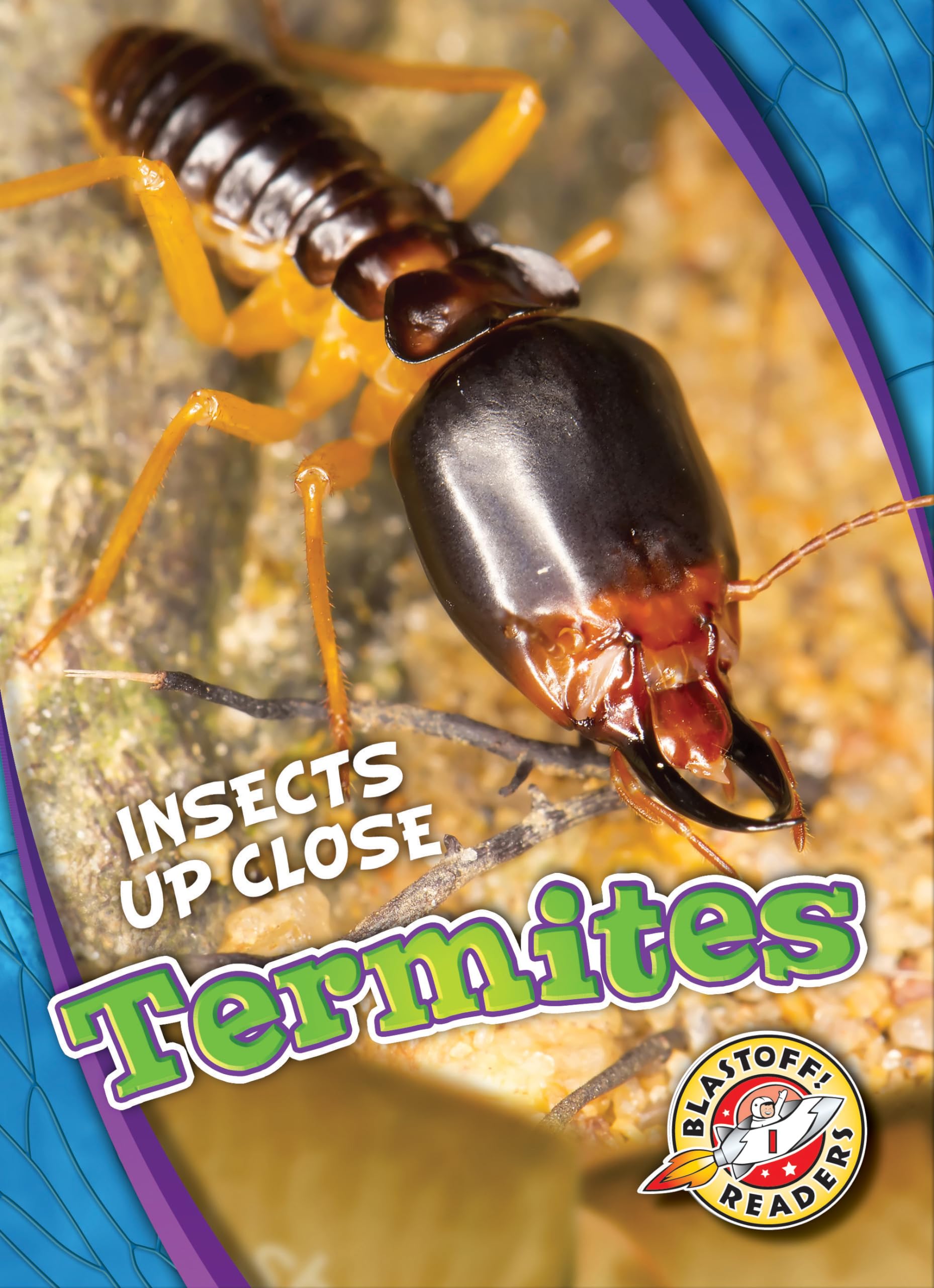 Termites (Insects Up Close),Used