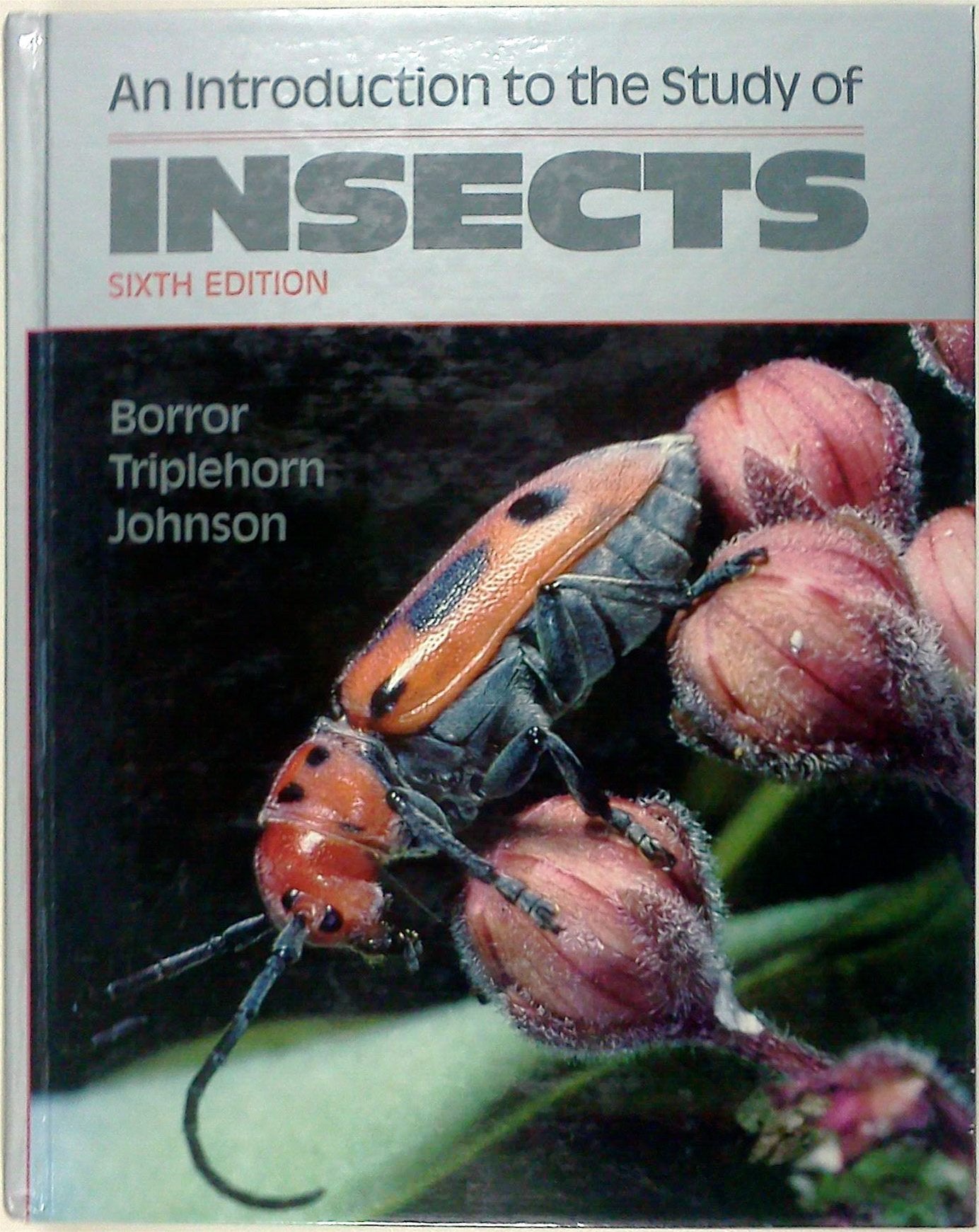 Introduction to the Study of Insects, 6th Edition,Used