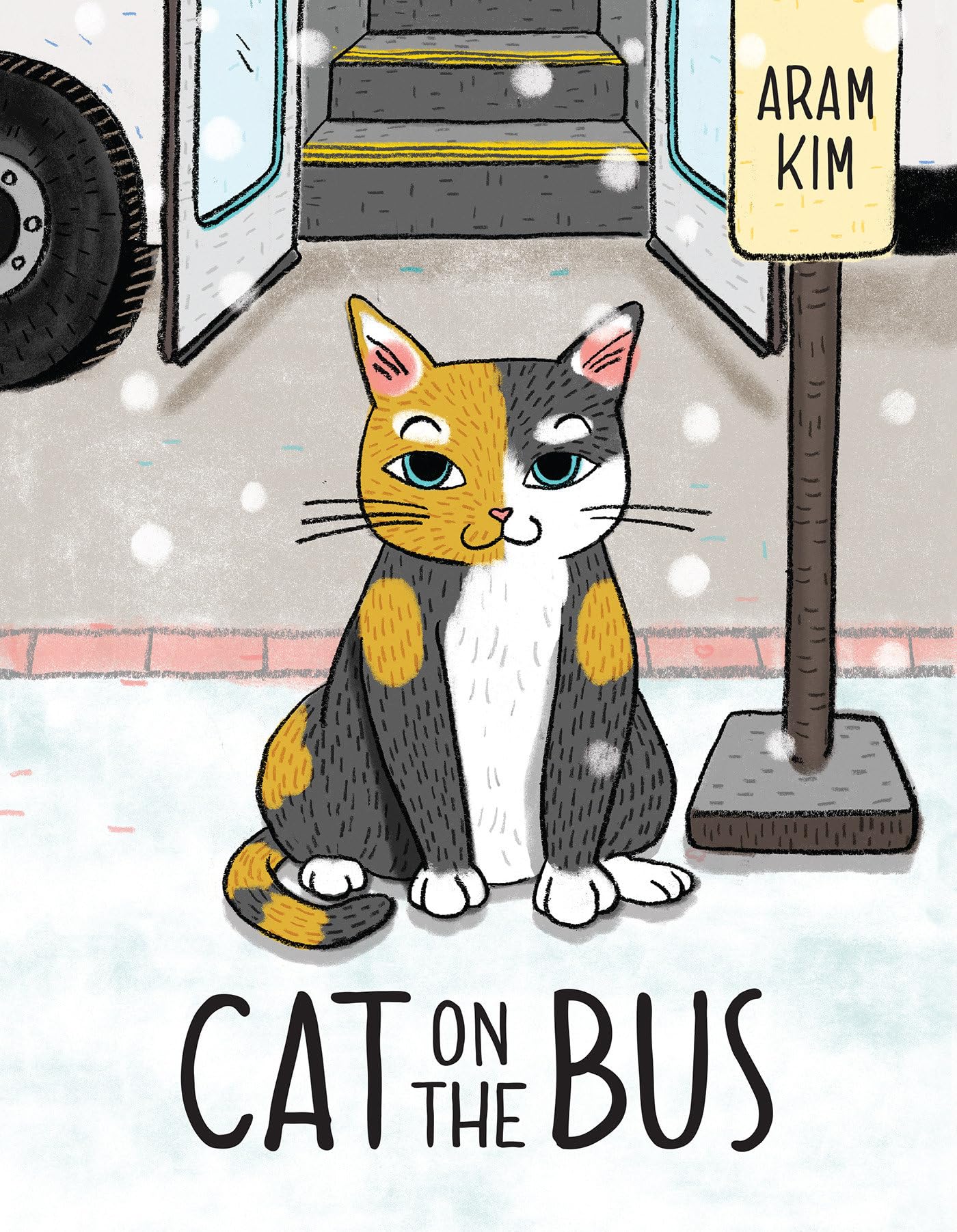 Cat on the Bus,Used