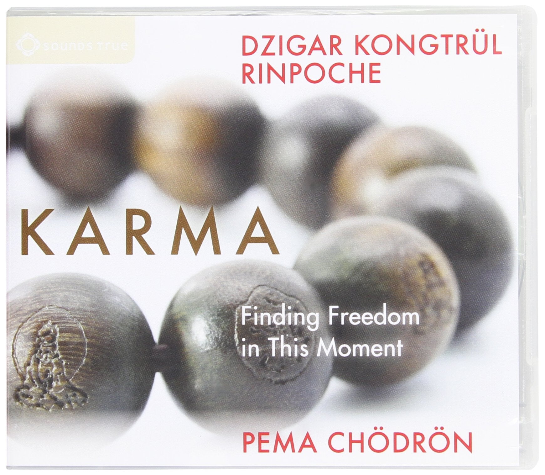 Karma: Finding Freedom In This Moment,Used
