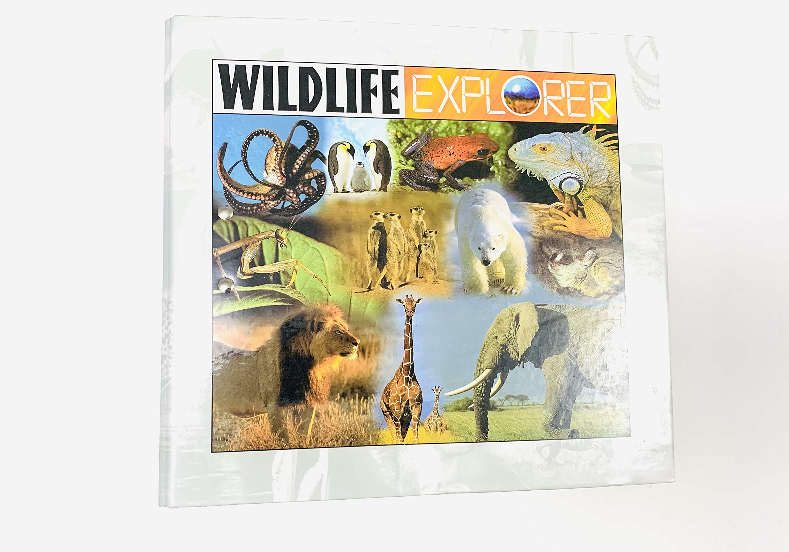 Wildlife Explorer (Group 1 through Group 8),Used