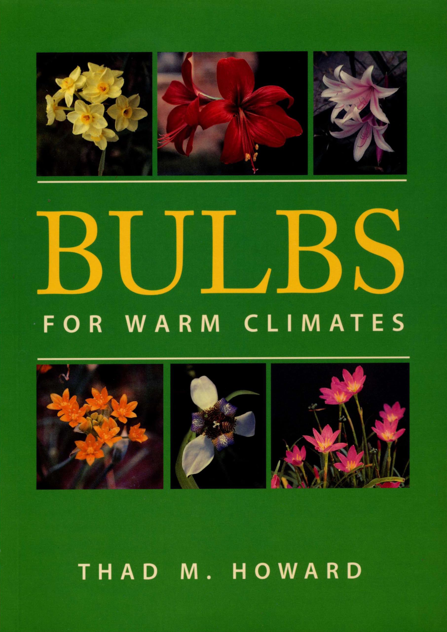 Bulbs for Warm Climates,Used